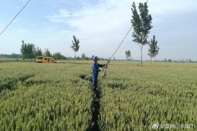 陵城供電公司開展更換拉線工作