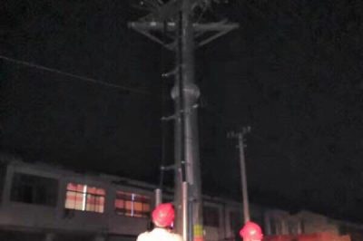 10kⅤ線路柱上開關、變壓器樁頭、高壓線路導線搭頭處等進行紅外測溫