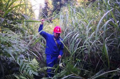 涼山供電公司在35千伏城瑯線開(kāi)展線路巡視工作