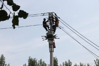 東阿縣供電公司新架設(shè)電桿5基、絕緣導(dǎo)線1000米