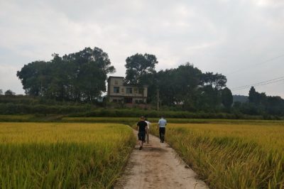 武岡市供電公司對兄弟單位開展扶貧領域?qū)ｍ棻O(jiān)督檢查