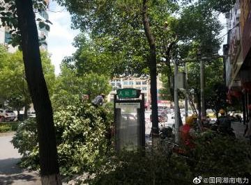 #向配網(wǎng)開(kāi)戰(zhàn)#風(fēng)景這邊獨(dú)好，砍青掃障