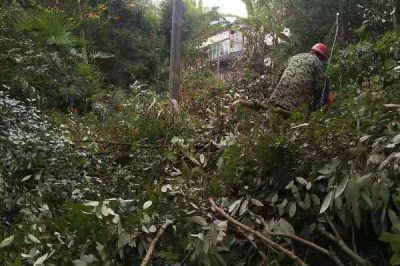 “剃須理發(fā)”，保持供電線路暢通