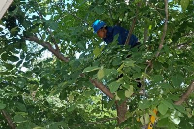 西安：清障消缺?！叭摹卑踩秒? title=