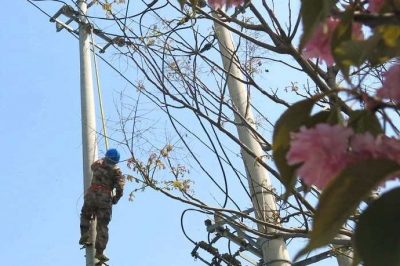 高碑店市供電公司升配網(wǎng)忙改造