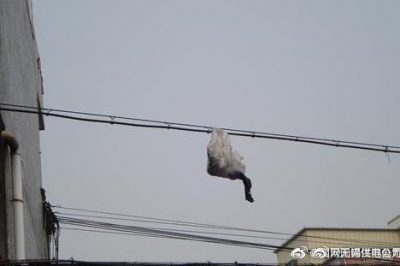 你的隨手一“拋”，可能導(dǎo)致跳閘停電！