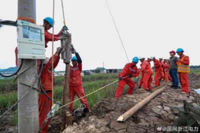 供電公司開展配網(wǎng)防臺風(fēng)專項整治