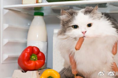 電冰箱省電良方，走過路過別錯過?。? title=