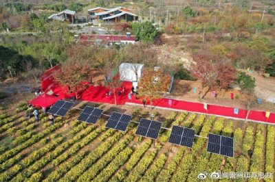 江蘇首個“茶光互補”源荷儲光協(xié)同自治臺區(qū)竣工典禮